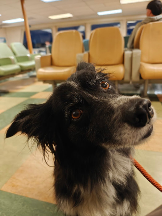 Bainbridge Island Ferry 01