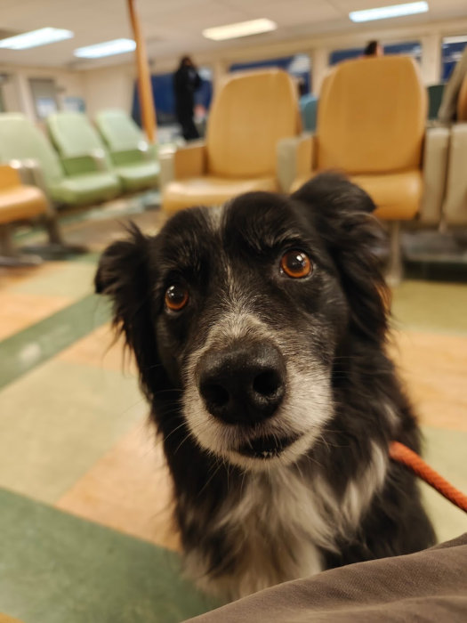 Bainbridge Island Ferry 02