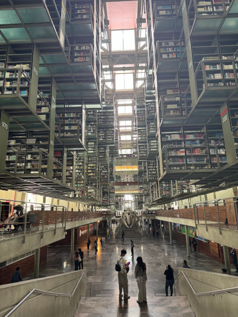 Mexico City Megabiblioteca 03