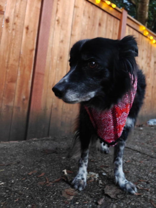 Mexico City Bandana Smudge