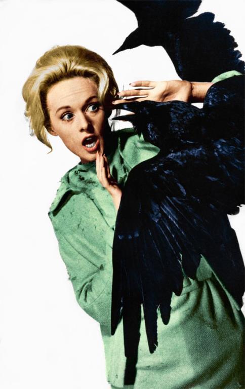 The Birds Tipi Hedren