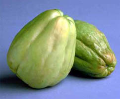 PATASTE CON QUESILLA